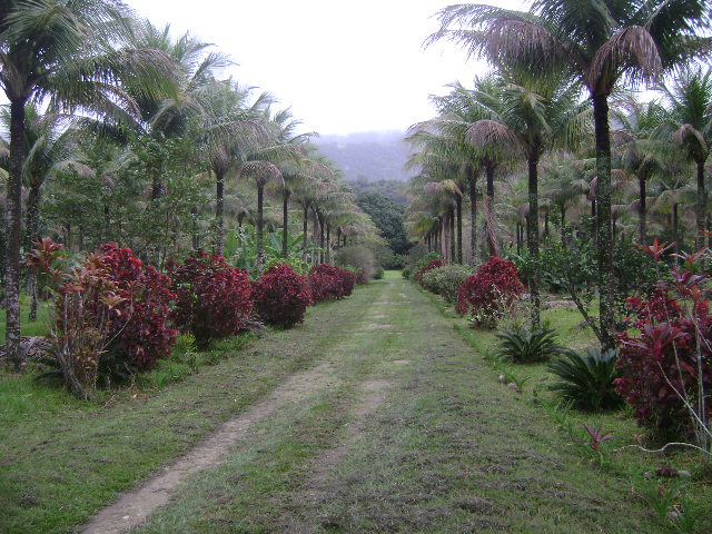 CT003390