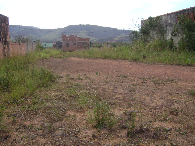 CT003393