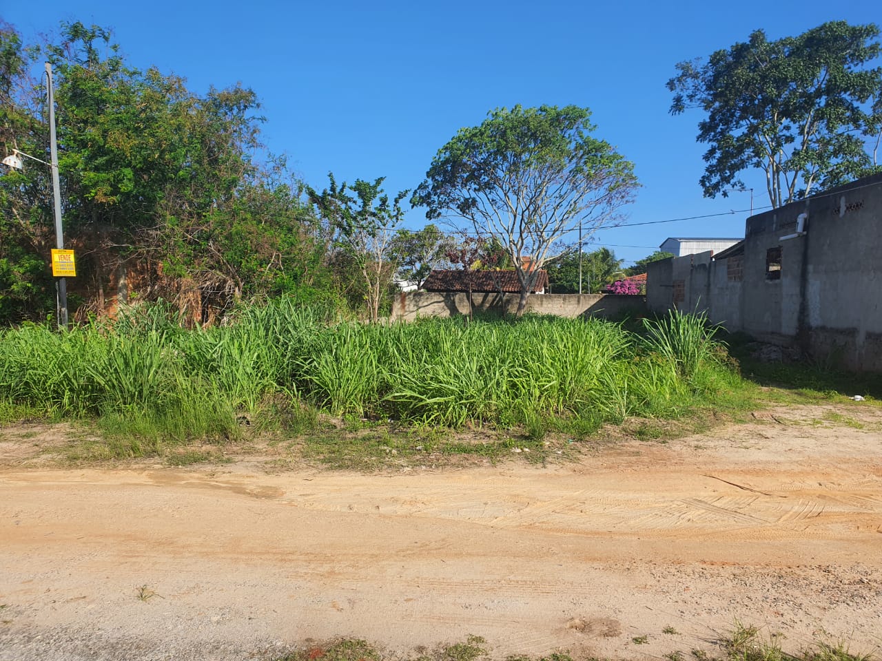 CT003633